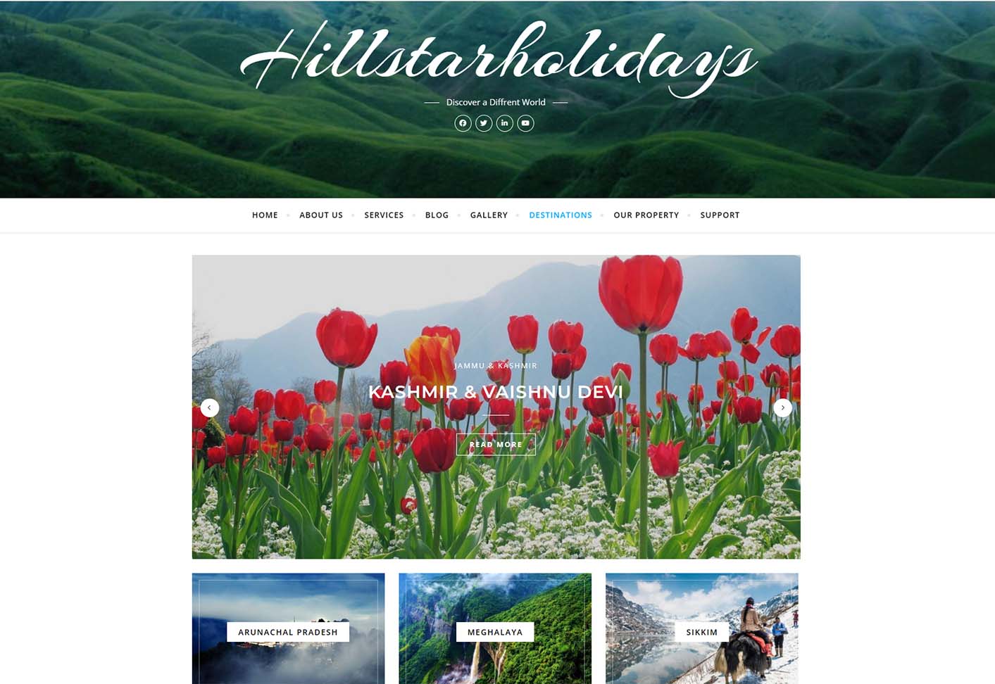 Website 2 Screenshot